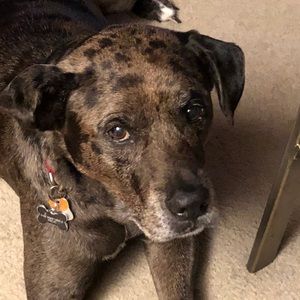 Meet your Posher, Regina